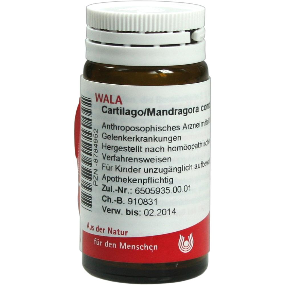 Cartilago/Mandra Comp null
