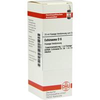 Echinacea (hab) D 6 null