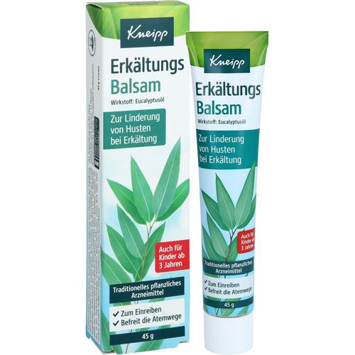 Kneipp Erkältungs Balsam 45 g Kneipp bei onfy.de kaufen 19815265