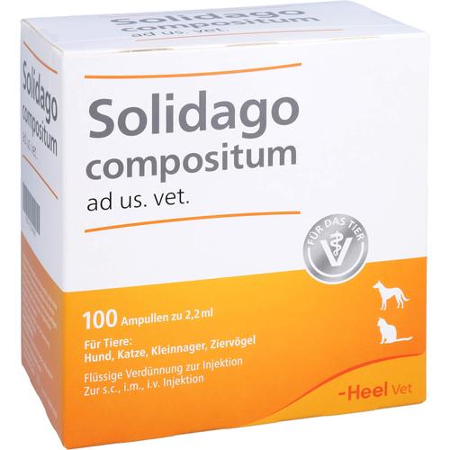 Solidago Comp Ad Us Vet 100 St Biologische Heilmittel Heel Gmbh bei onfy.de kaufen 01224090