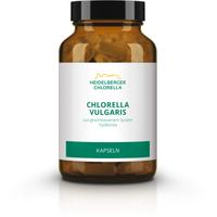 Chlorella Vulgaris