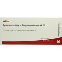 Trigonum Ve Et Mu S Gl D 5 null