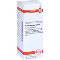 Fucus Vesicul D12 null
