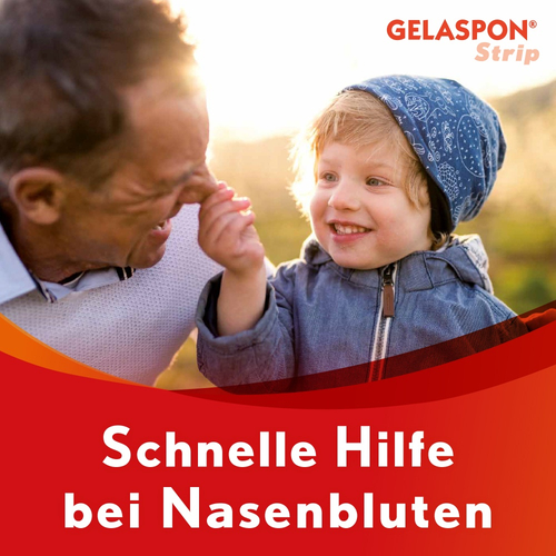 Gelaspon Strip 40x10x10 Mm Gelatineschwamm 4 St Dr. Gerhard Mann bei onfy.de kaufen 17940575