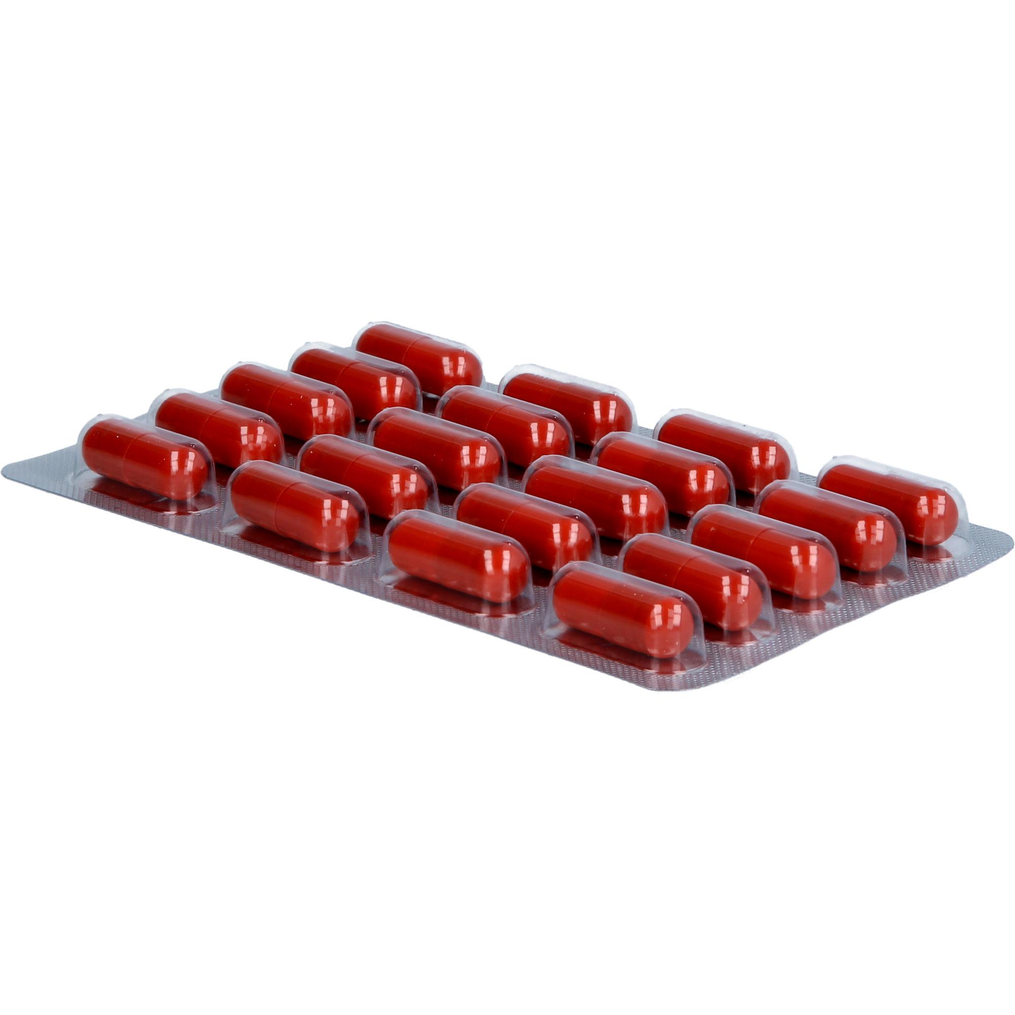 Kieselerde + Biotin - Kapseln Vegan 60 St Astrid Twardy bei onfy.de kaufen 19239991