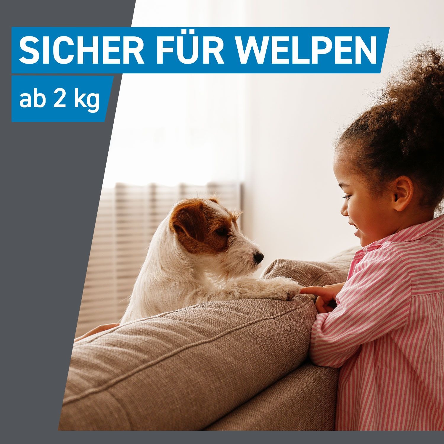Frontline Spot On H 20 Vet 6 St Boehringer Ingelheim Vetmedica Gmbh bei onfy.de kaufen 02246395