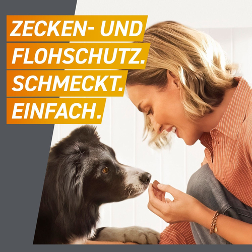 Frontpro Chew Hunde S Vet 3 St Boehringer Ingelheim Vetmedica Gmbh bei onfy.de kaufen 18654280