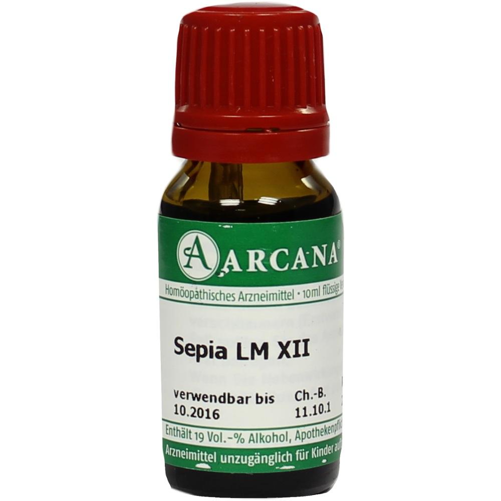 Sepia Arca Lm 12 null
