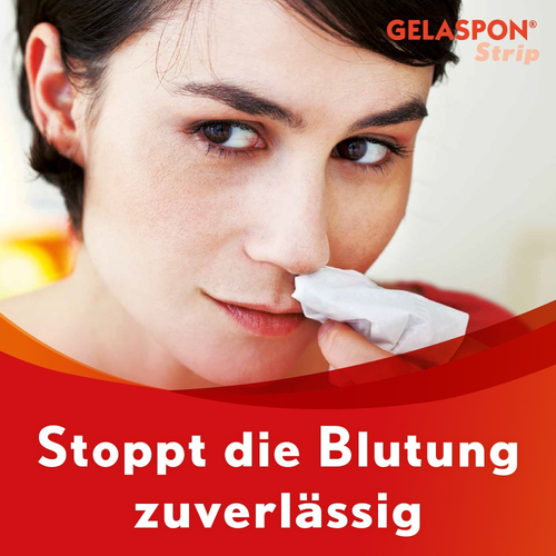 Gelaspon Strip 40x10x10 Mm Gelatineschwamm 4 St Dr. Gerhard Mann bei onfy.de kaufen 17940575