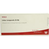Lobus Temporalis Gl D 6