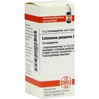 Echinacea Purpur D 6 null