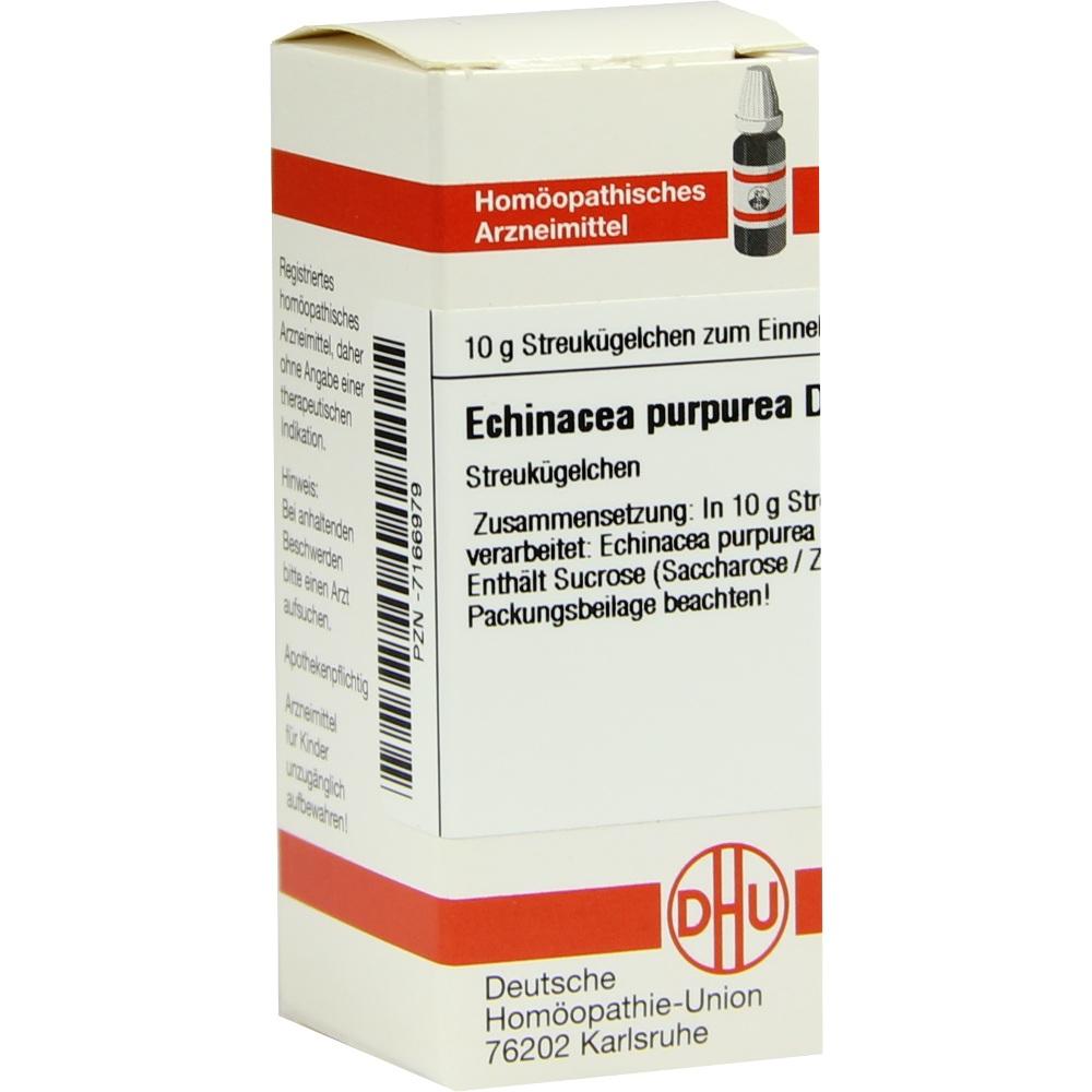 Echinacea Purpur D 6 null