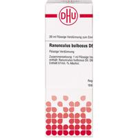 Ranunculus Bulb D 6 null