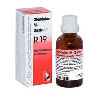 Glandulae-M-Gastreu R19 null