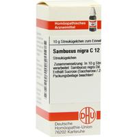 Sambucus Nigra C12 null