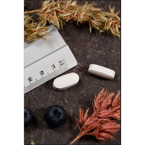 L-Lysin 500 mg Kal 100 St Supplementa bei onfy.de kaufen 06987929