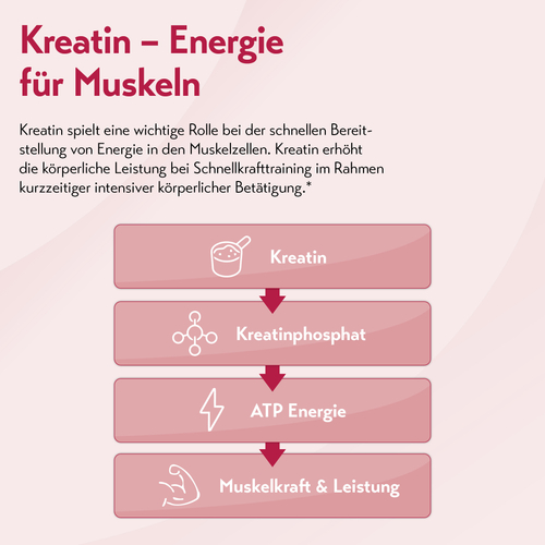 Puresgp Kreatin 360 g PharmaSGP bei onfy.de kaufen 20330254