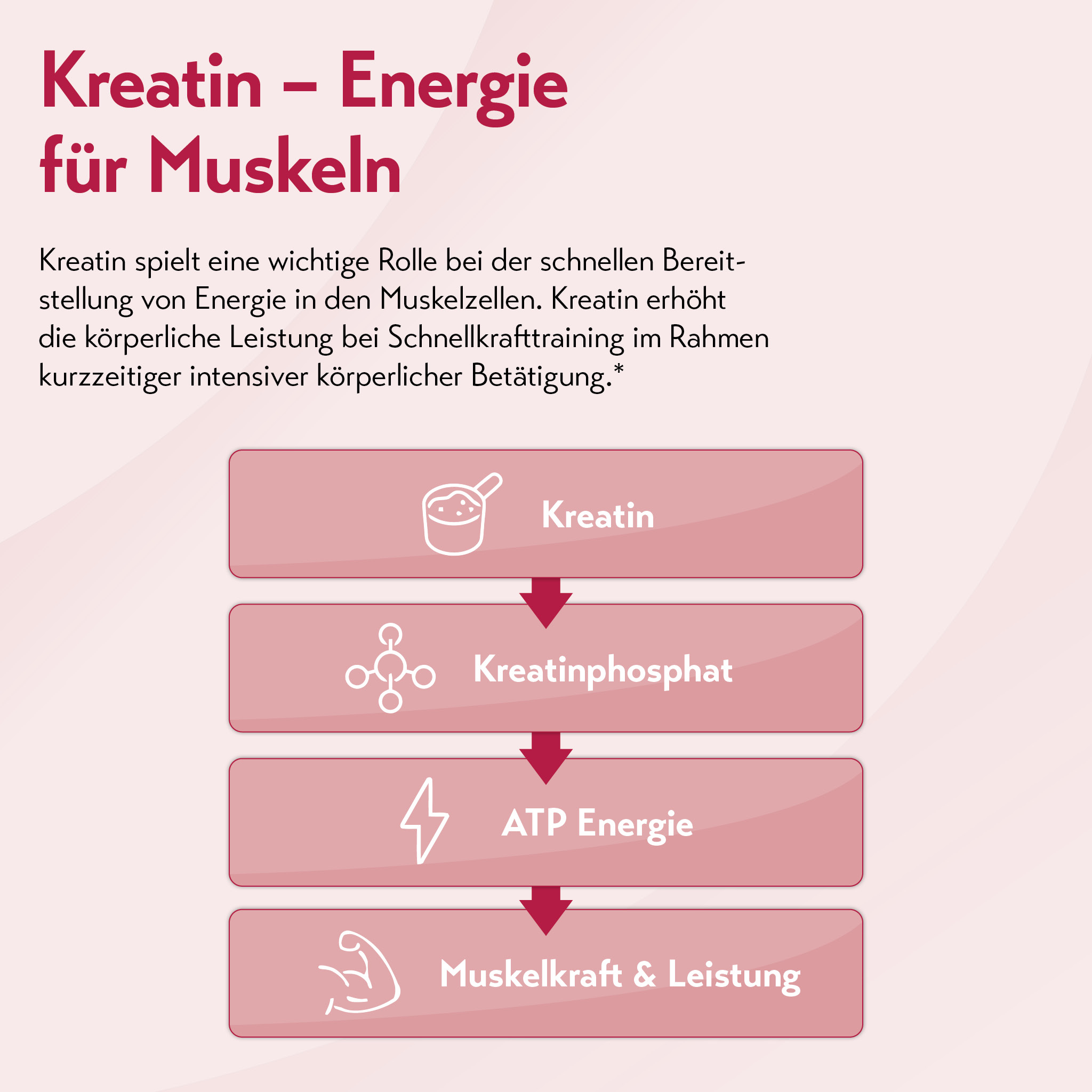 Puresgp Kreatin 240 g PharmaSGP bei onfy.de kaufen 20330372