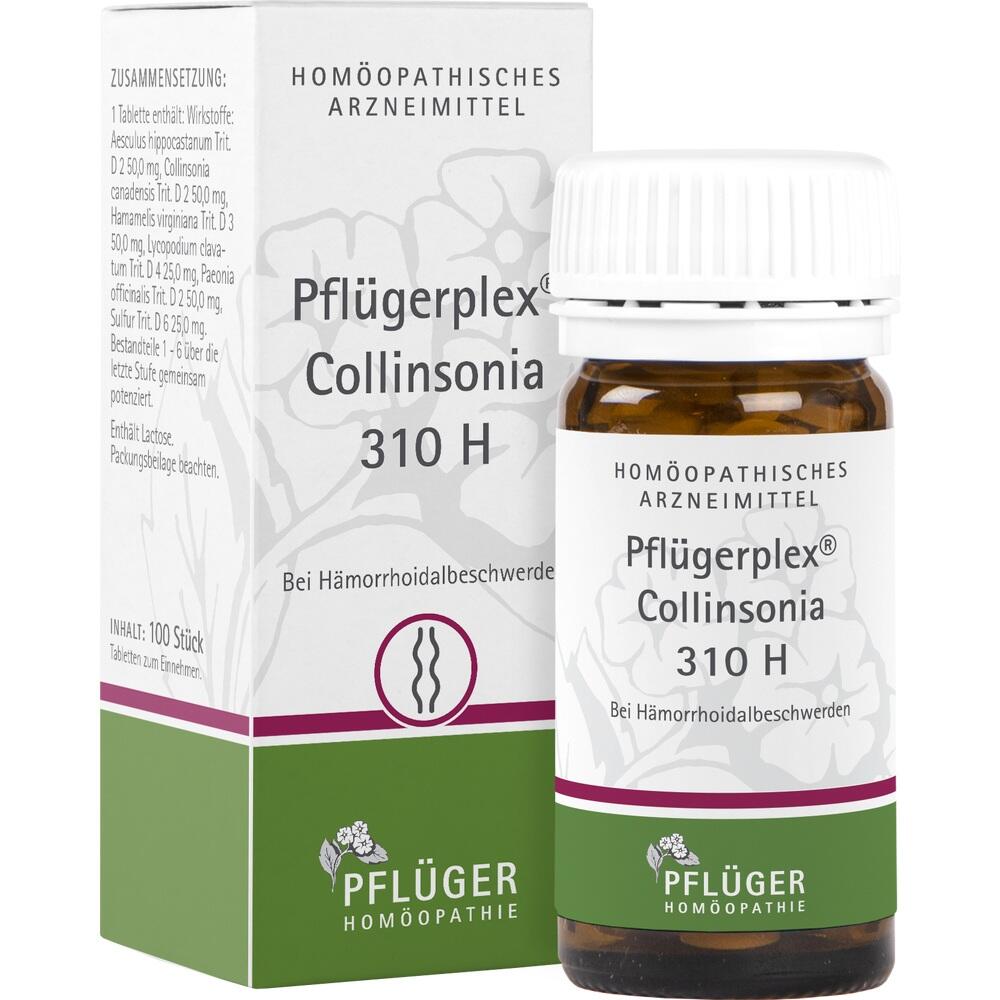 Pfluegerplex Collinsonia 310 H null