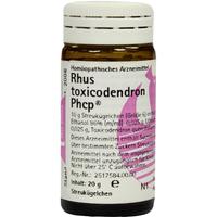 Rhus Toxicodendron Phcp null
