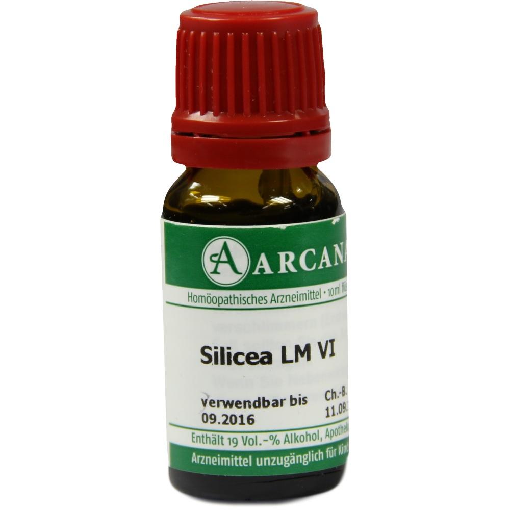 Silicea Arca Lm 6 null