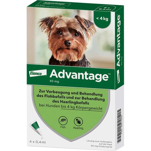 Advantage 40 Hund 4 St Elanco Deutschland Gmbh bei onfy.de kaufen 08613305