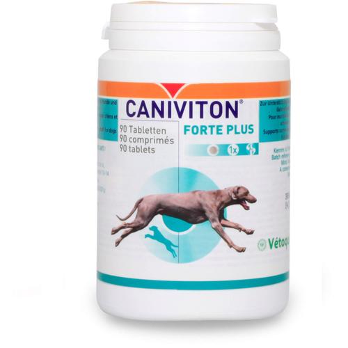 Caniviton Forte Plus Tbl. Erg.-Futterm.f.hu./Ka. 90 St O'ZOO bei onfy.de kaufen 16361272