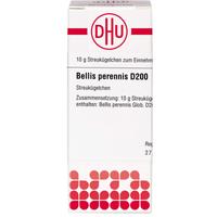 Bellis Perennis D200 null