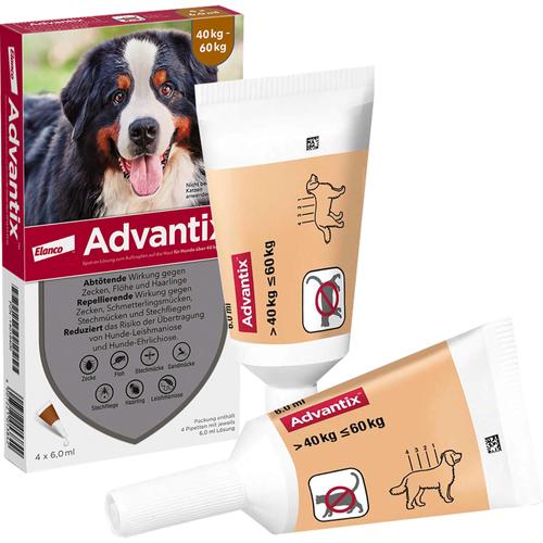Advantix Spot-On Hund40-60 4x6.0 ml Elanco Deutschland Gmbh bei onfy.de kaufen 14018400