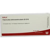 Fasciculus Atrioven Gl D15