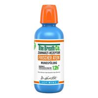 Thebreathco Icy Mint null