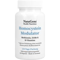 Homocystein Modulator Betain + B-Komplex Vegan null