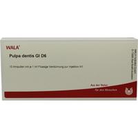 Pulpa Dentis Gl D 6 null