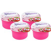 Nutrini Creamy Fruit Beerenfrüchte null
