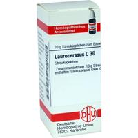 Laurocerasus C30 null