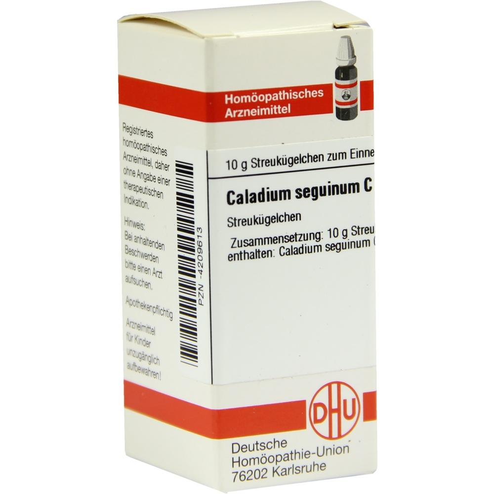 Caladium Seguin C30 null