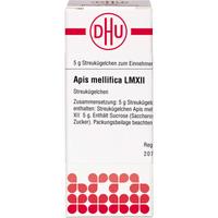 Apis Mellif Lm Xii