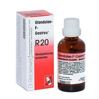 Glandulae-F-Gastreu R20 null