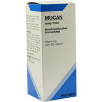 Mucan Spag. Pekana null