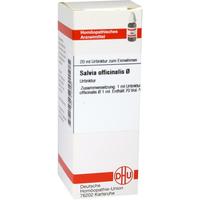 Salvia Offic Urt null