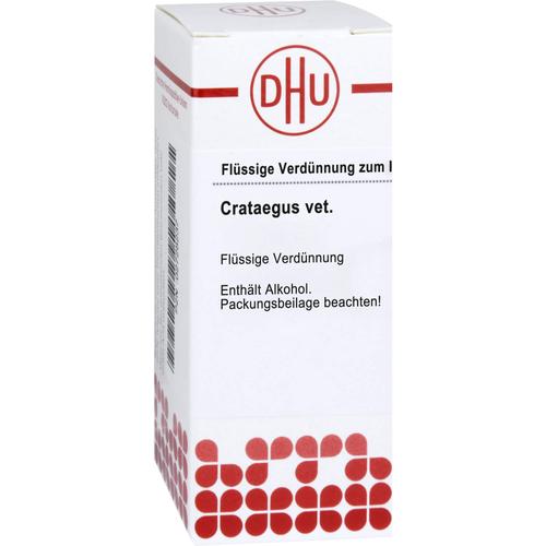 Crataegus Ad Usum Vet 50 ml Dhu-Arzneimittel Gmbh & Co. Kg bei onfy.de kaufen 02728237