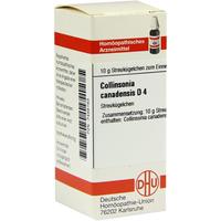 Collinsonia Canadens D 4 null