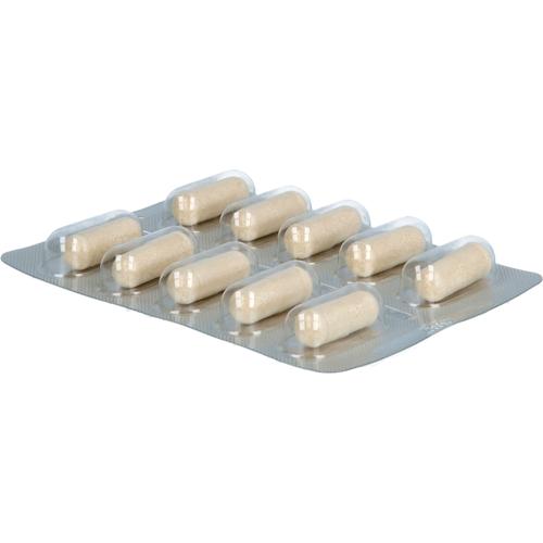 Doppelherz Bitter Plus 60 St Queisser Pharma bei onfy.de kaufen 19441468