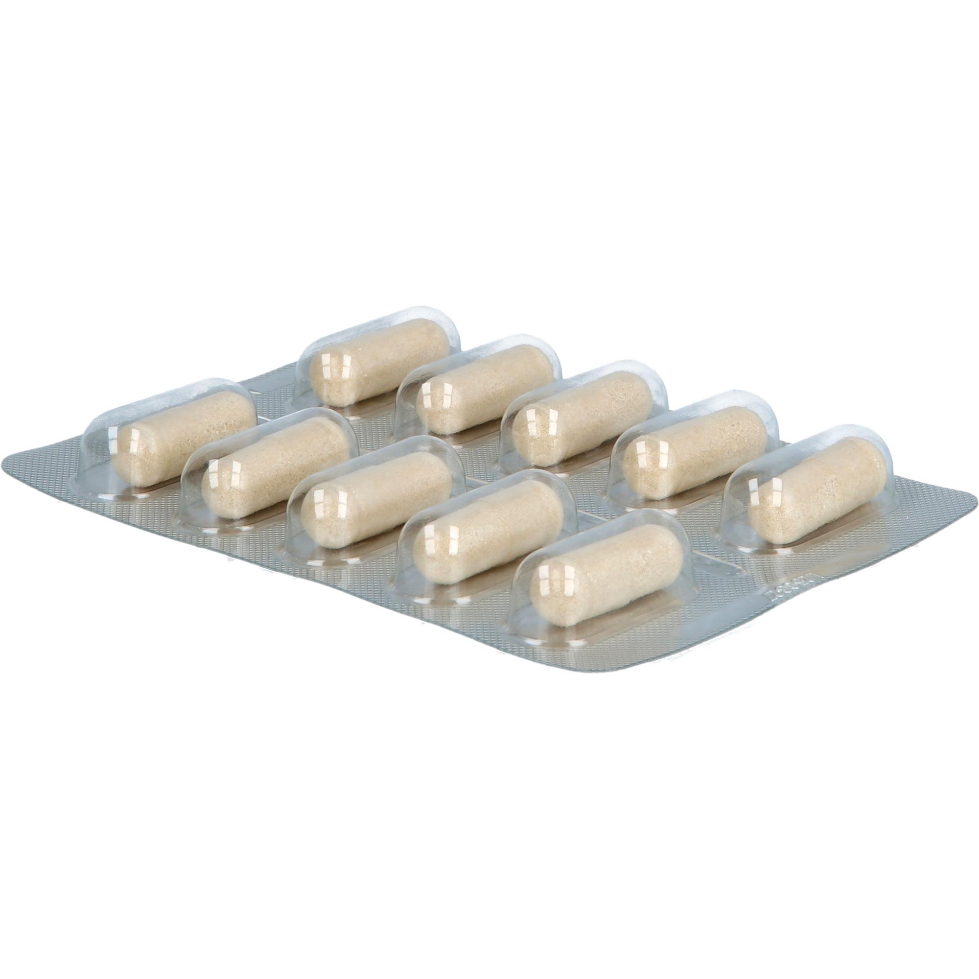 Doppelherz Bitter Plus 60 St Queisser Pharma bei onfy.de kaufen 19441468