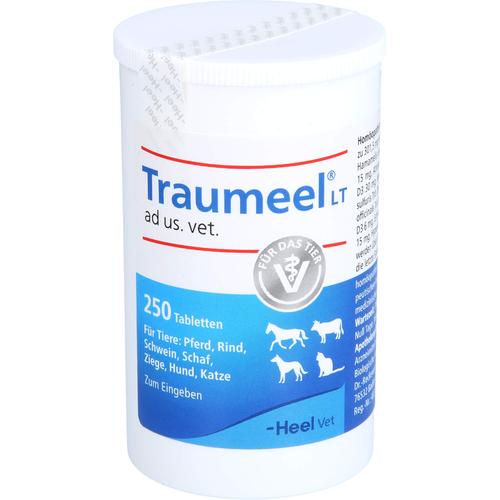 Traumeel Lt Ad Us Vet 250 St Biologische Heilmittel Heel Gmbh bei onfy.de kaufen 15300328