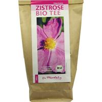 Zistrose Bio Tee null