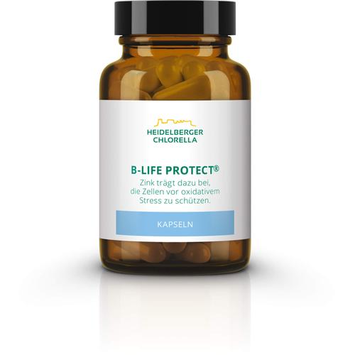 B-Life Protect 36 g Heidelberger Chlorella bei onfy.de kaufen 18796494