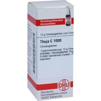 Thuja C1000