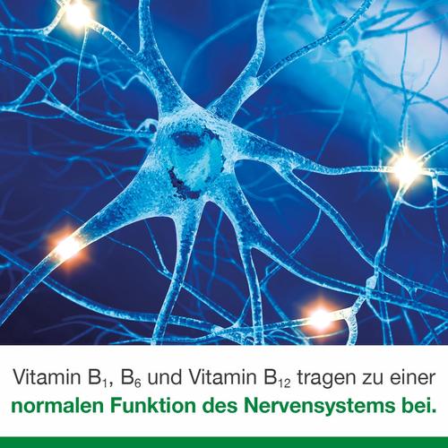 Neurologes Concept 30 St Dr. Loges bei onfy.de kaufen 17308110