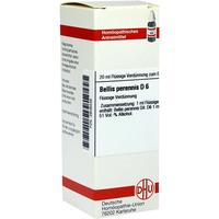 Bellis Perennis D 6 null